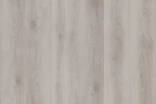 Ashen Oak