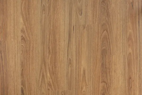 Darlington Spotted Gum