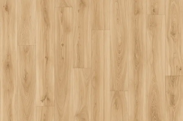 Forenza Oak 612M 2m