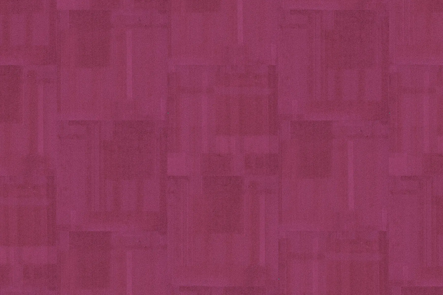 Fuchsia Fusion