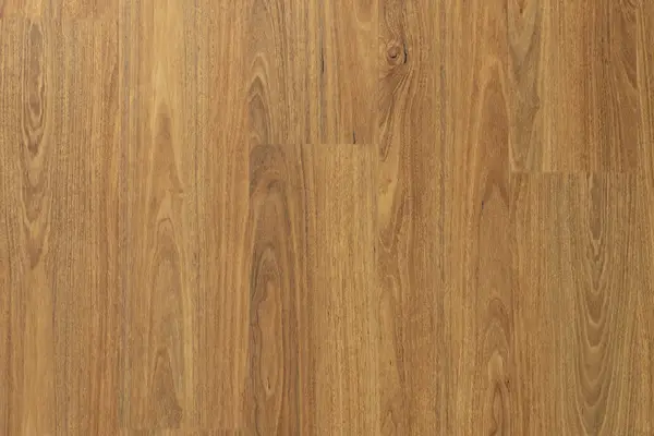 Harrisville Spotted Gum