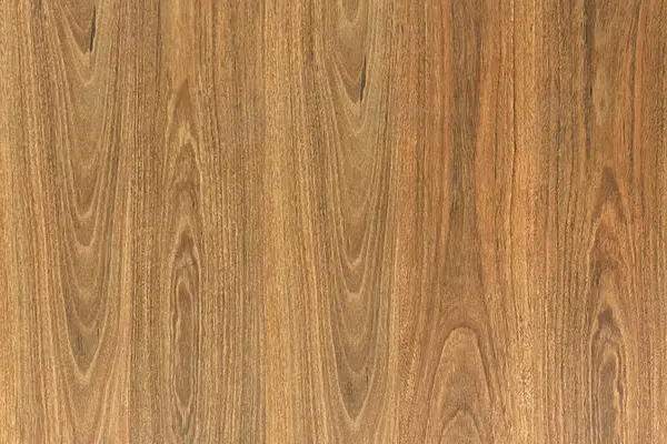 Healesville Spotted Gum