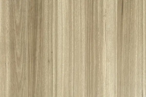 Launceston Blackbutt