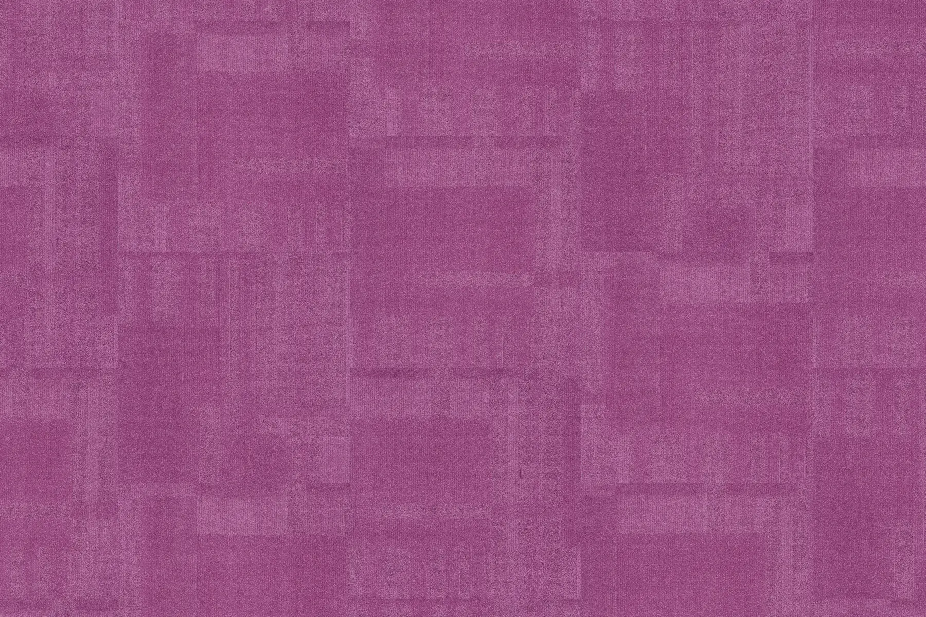 Lavender Field