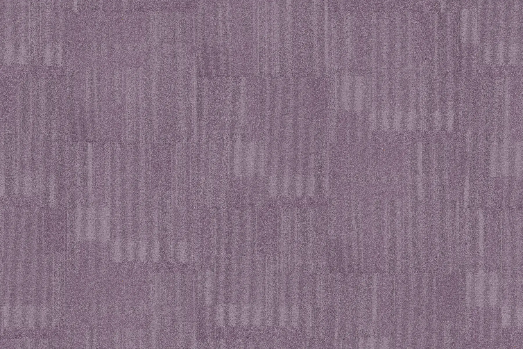 Lucky Lilac