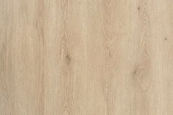Malabar Oak