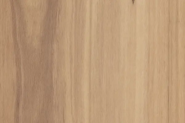 New England Blackbutt