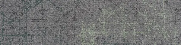 Penta Swamped Spruce