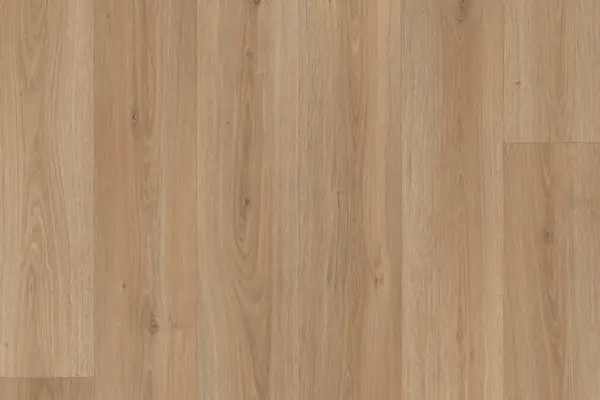 Powell Oak Bronze