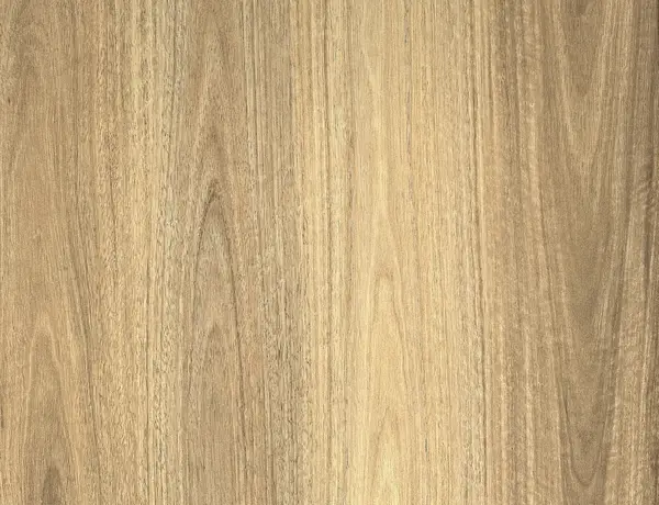 Satinash Spotted Gum