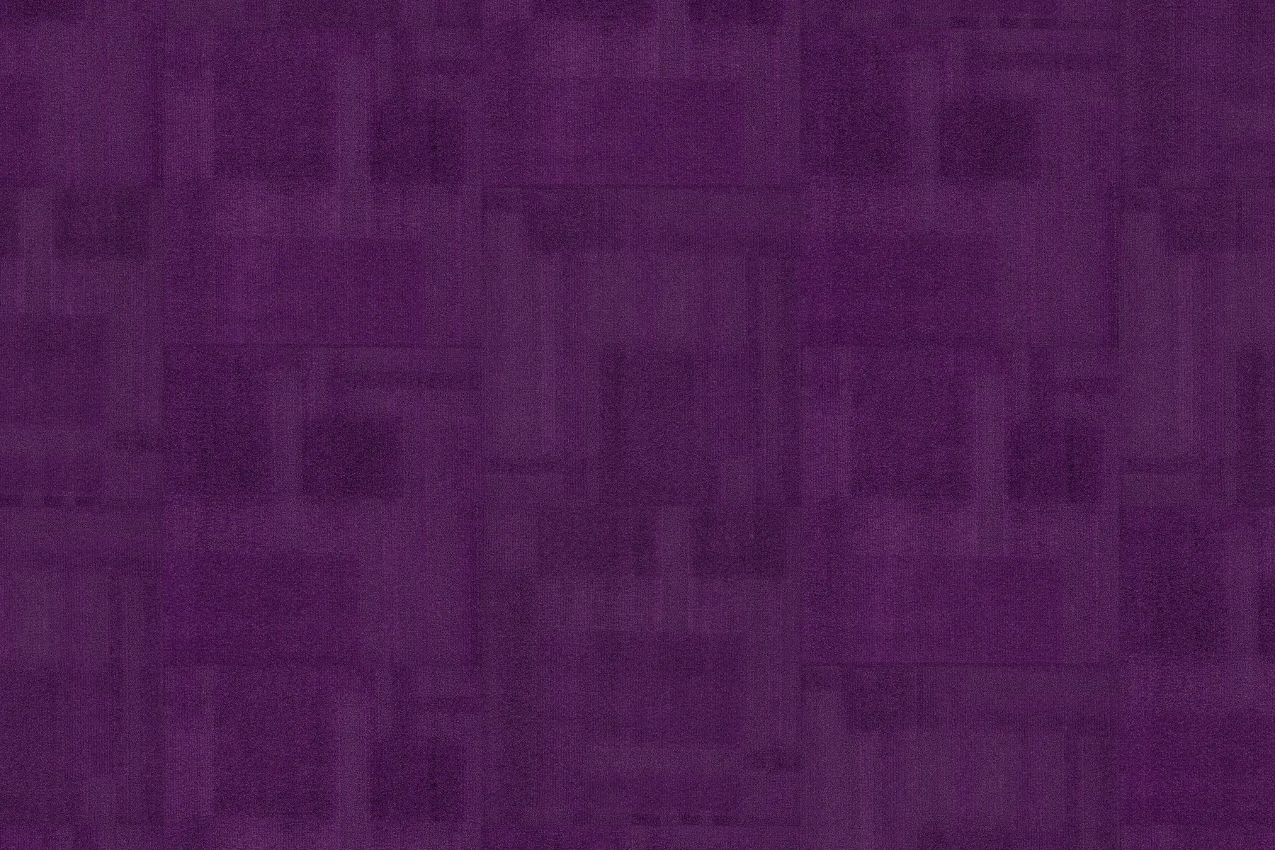 Wild Violet