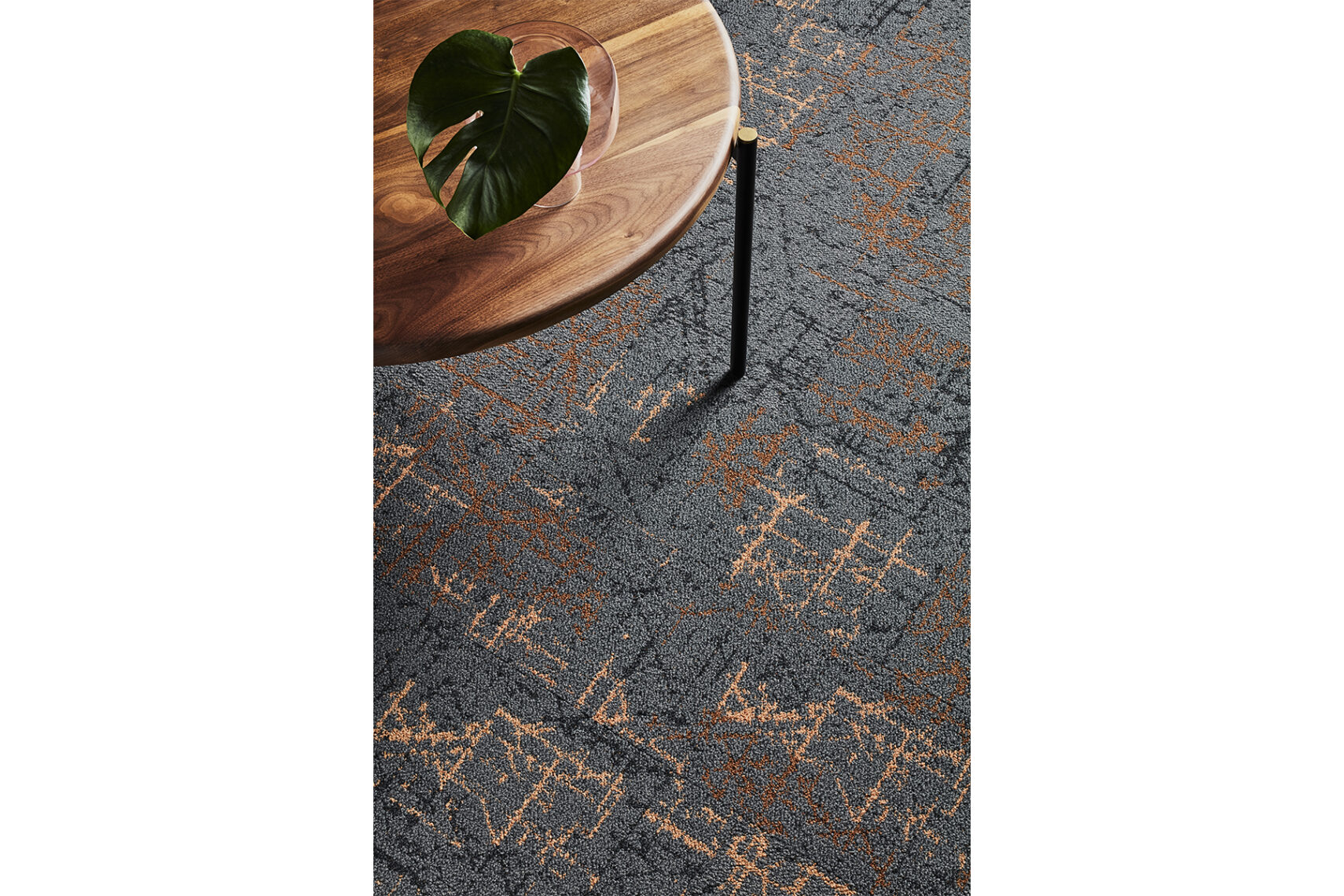 Reflect Flooring – Commercial Floor Coverings by Signature Floors